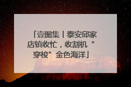 壹图集丨泰安邱家店镇收忙，收割机“穿梭”金色海洋